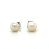 14K White Gold 5mm Pearl Earrings