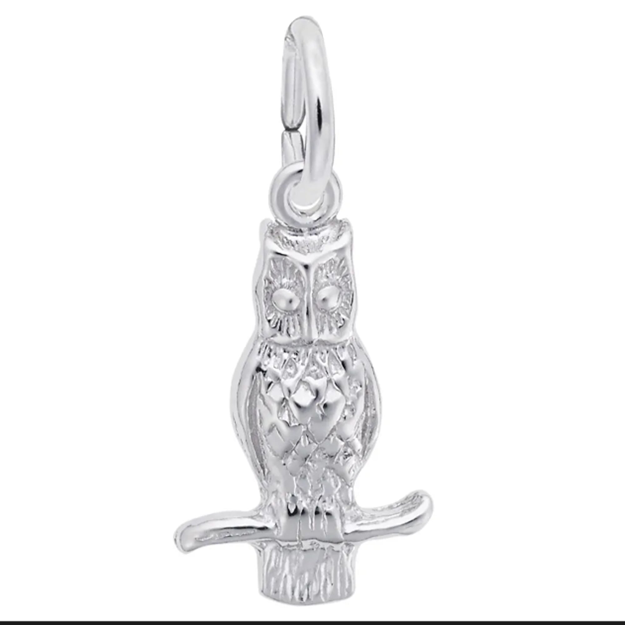 Sterling Silver Long Eared Owl Charm