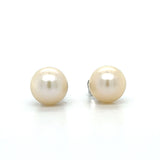 Pearl Earring