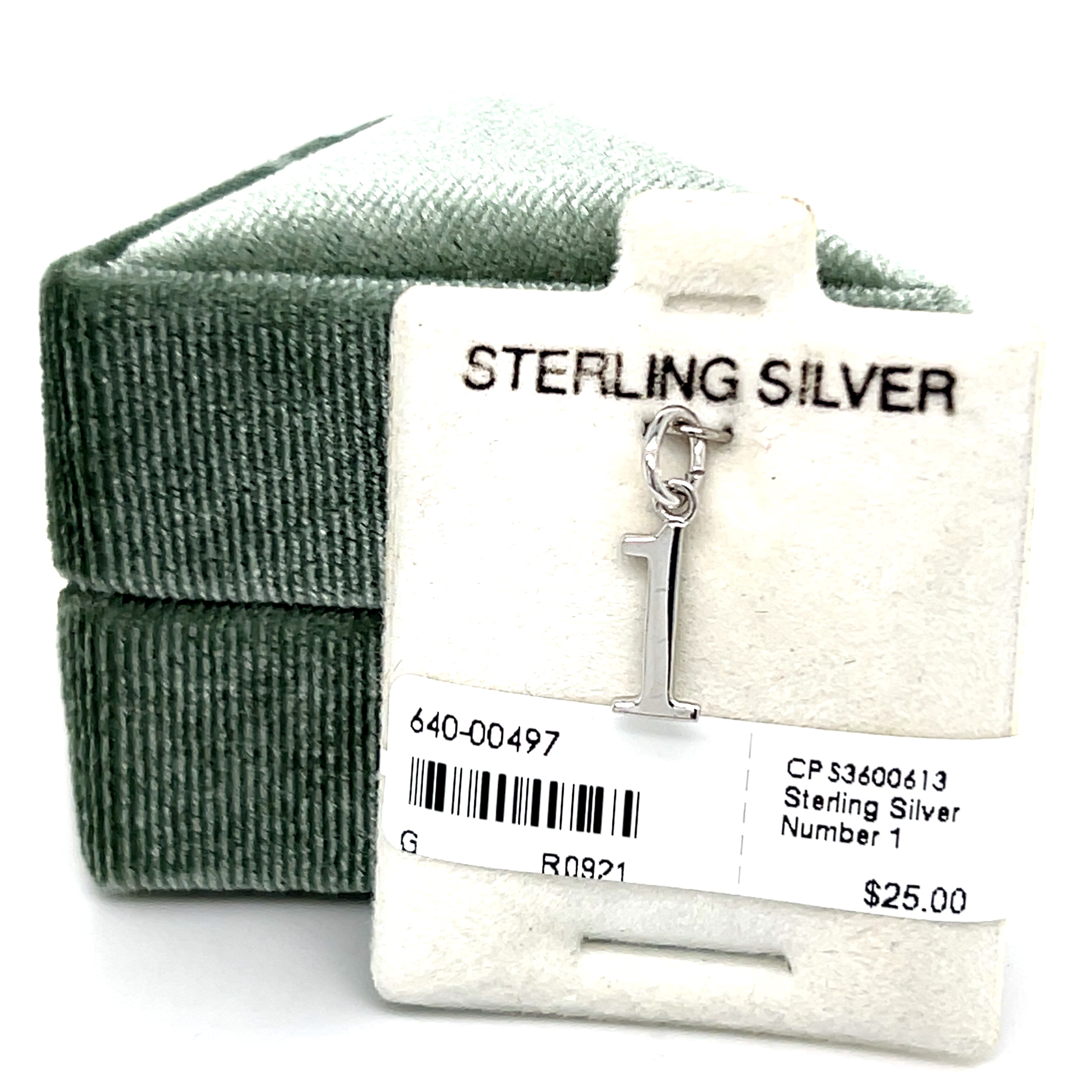Silver Charms/Pendants/Necklace