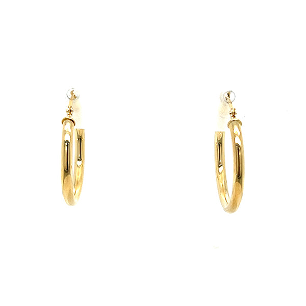 Precious Metal (No Stones) Earring