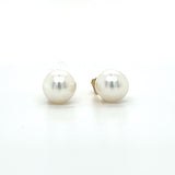 14K Yellow Gold 6mm Pearl Earrings
