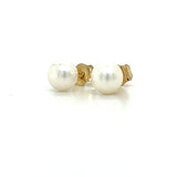 14K Yellow Gold 5mm Pearl Earrings