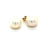 14K Yellow Gold 10mm Pearl Earrings
