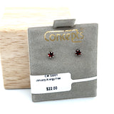 Concepts January Birthstone Allergy Free Earrings