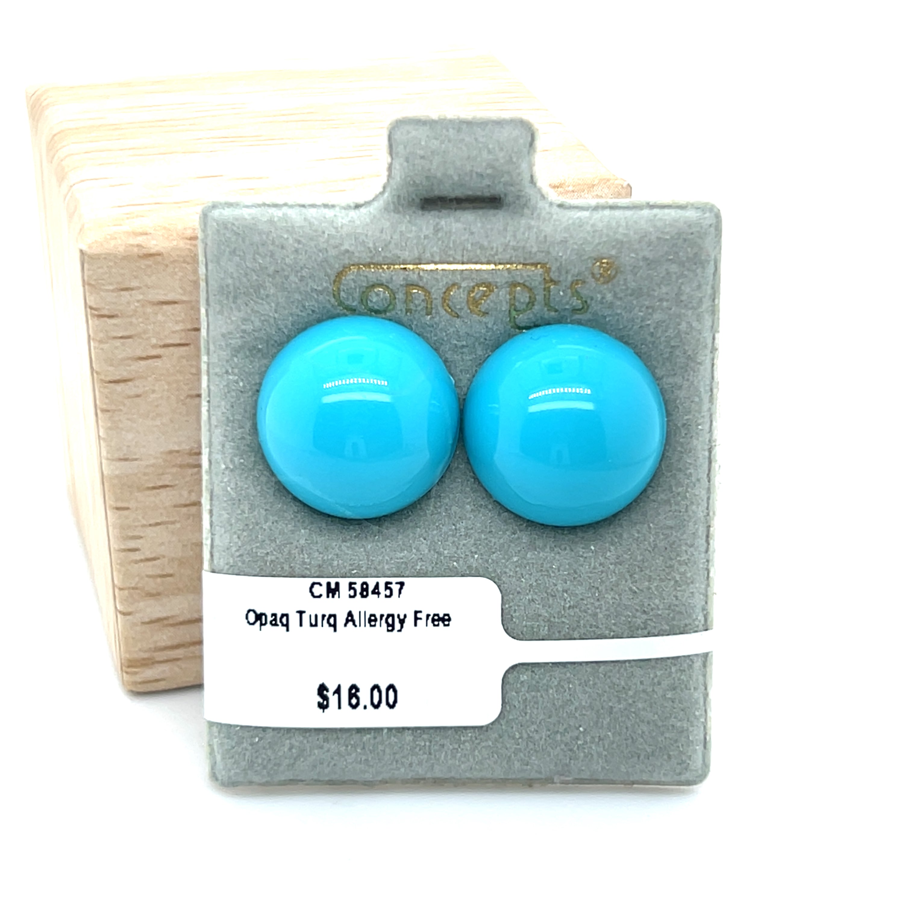 Opaque Turquoise Allergy Free Earrings