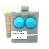 Opaque Turquoise Allergy Free Earrings