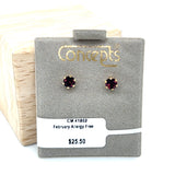 4mm February Birthstone Allergy Free Earrings