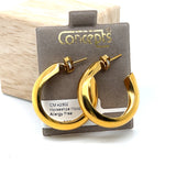 Horseshoe Hoop Allergy Free Earrings