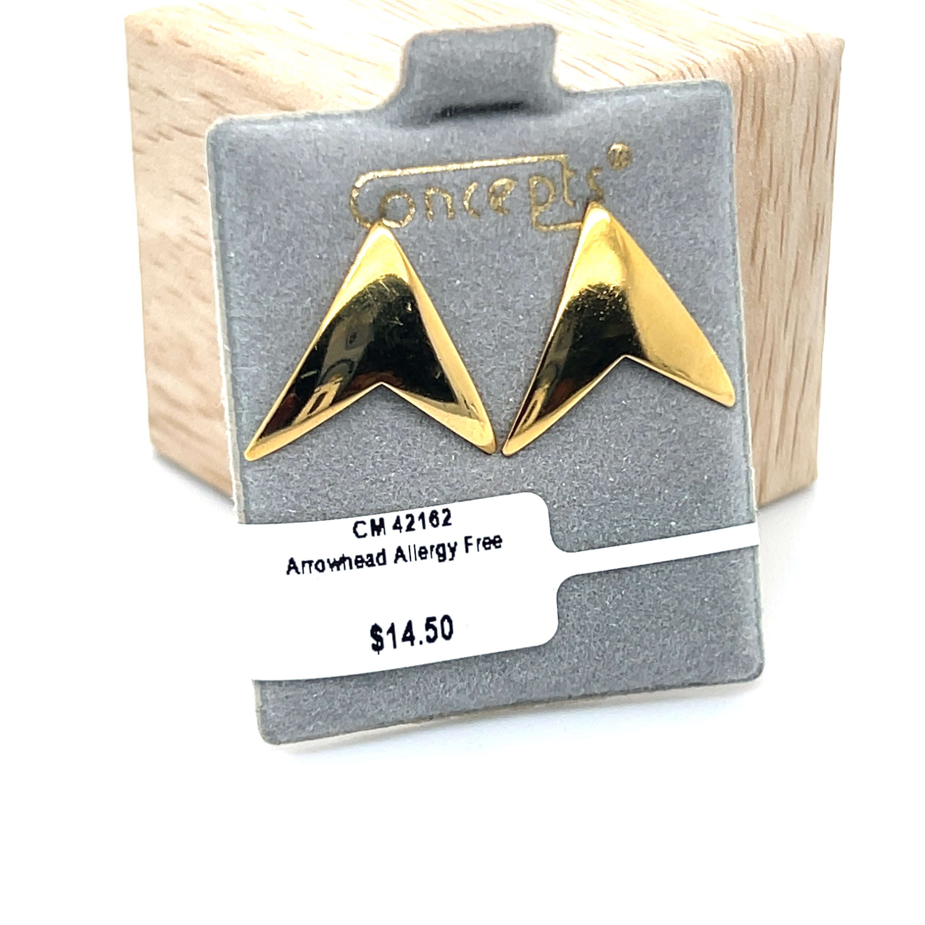 Arrowhead Allergy Free Earrings