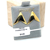Arrowhead Allergy Free Earrings