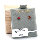 Genuine Rhodalite Allergy Free Earrings