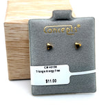 Triangle Allergy Free Earrings.