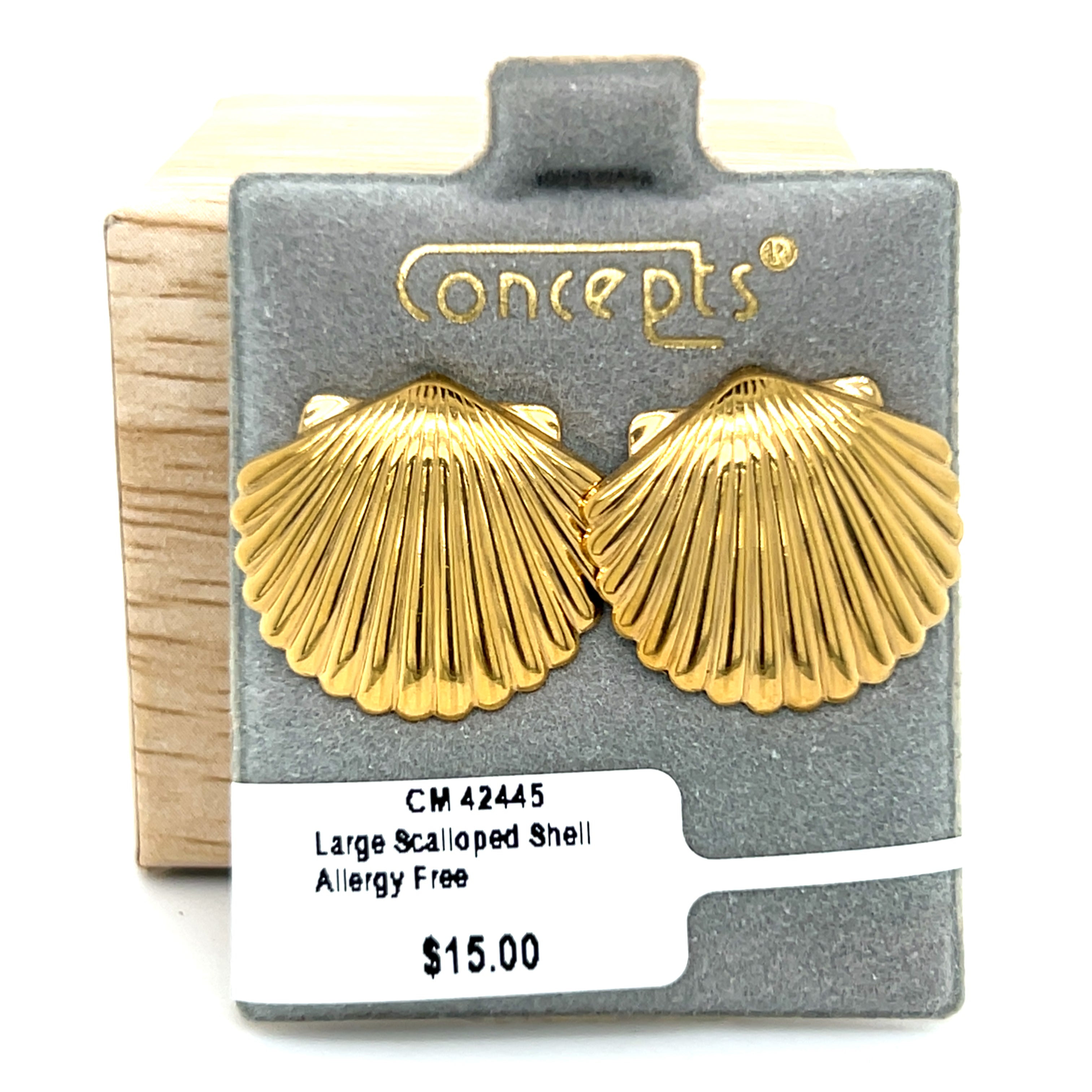 Large Scalloped Shell Allergy Free Earrings.