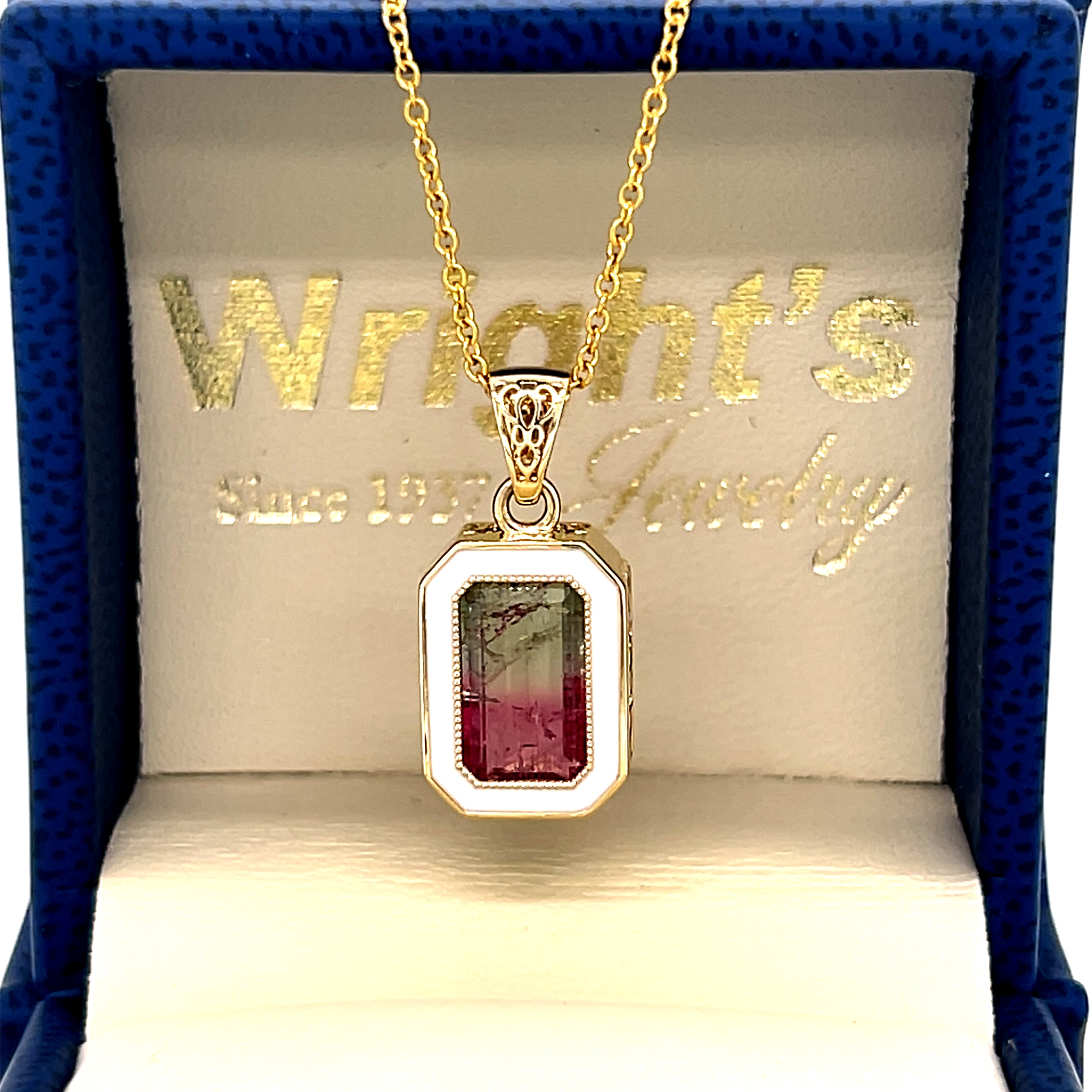 Canvas of Vines – Custom Tourmaline and Enamel Pendant Custom Wright's Jewelry Signature Design by Jennifer Beatty Available online or in store at Wright’s Jewelry, Fallston, NC