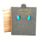 Concepts Silver-Tone Turquoise Allergy Free Earrings