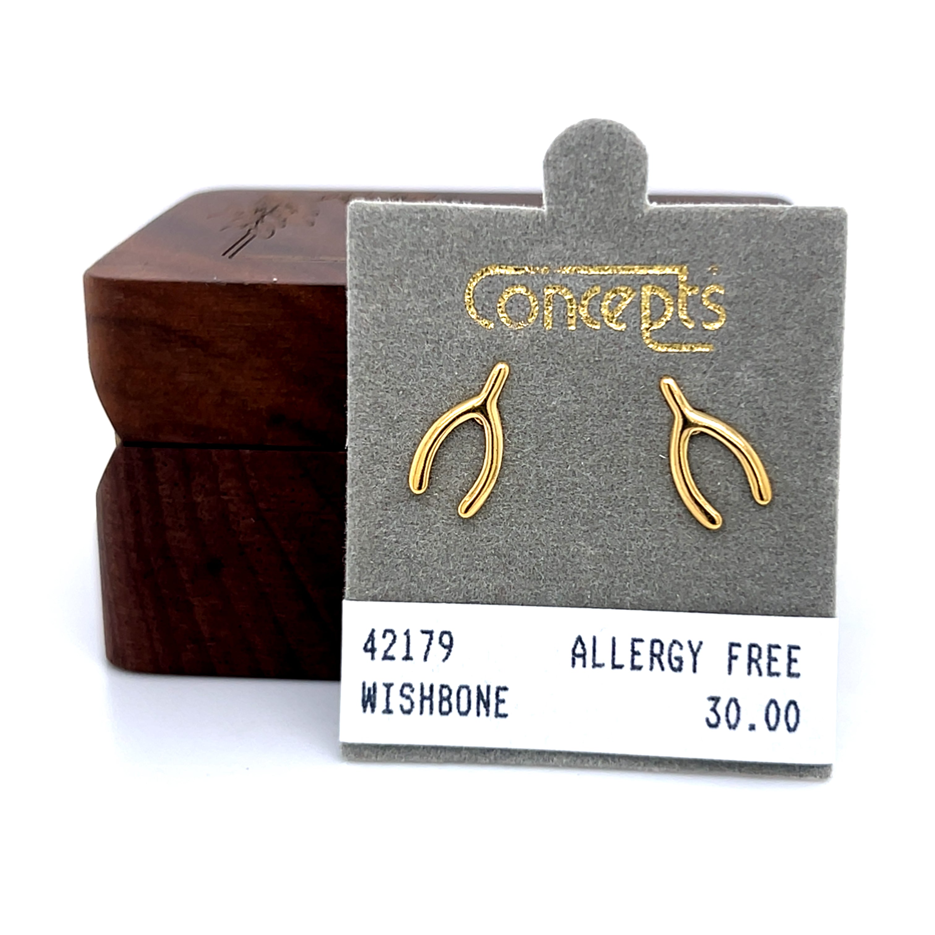 Concepts ~12x6mm Wish Bone Allergy Free Earrings