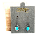Concepts Silver-Tone Turquoise Fish Hook Allergy Free Earrings, Available online or in store at Wright’s Jewelry, Fallston, NC