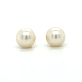 Pearl Earring