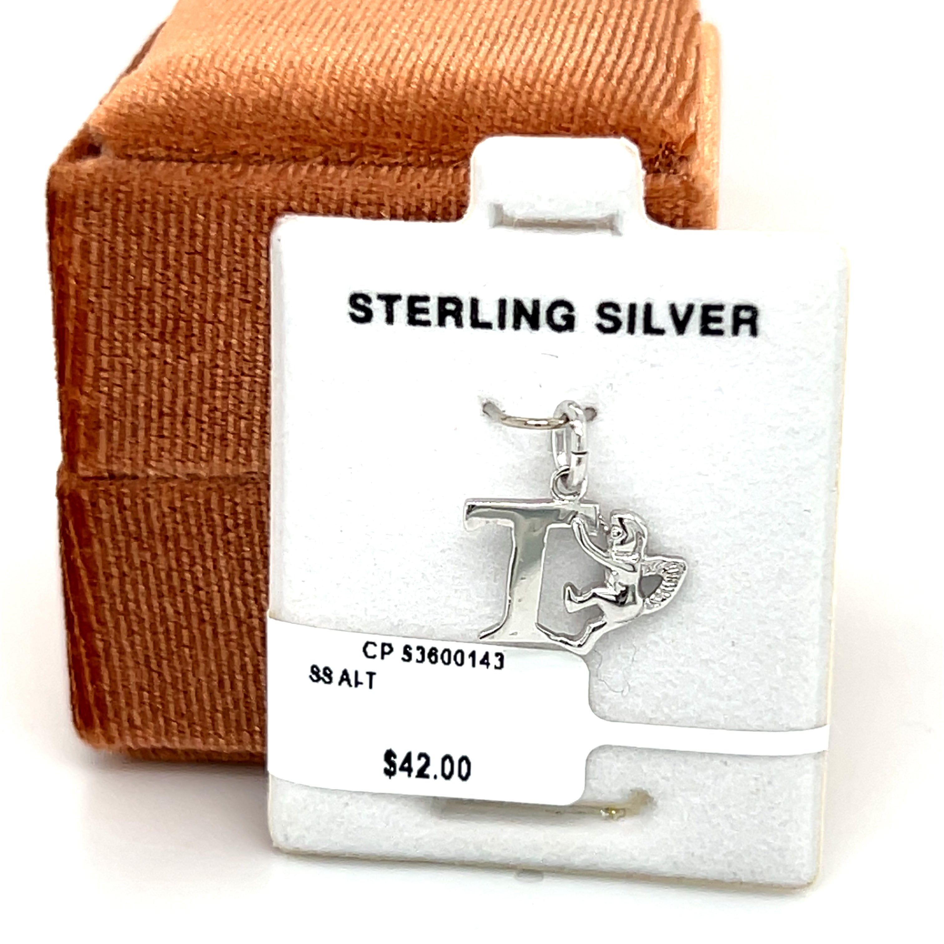 Silver Charms/Pendants/Necklace