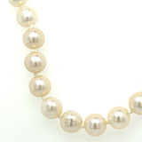 14K Yellow Gold 6mm Freshwater Pearl Necklace 20"