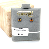 November Birthstone Allergy Free Earrings