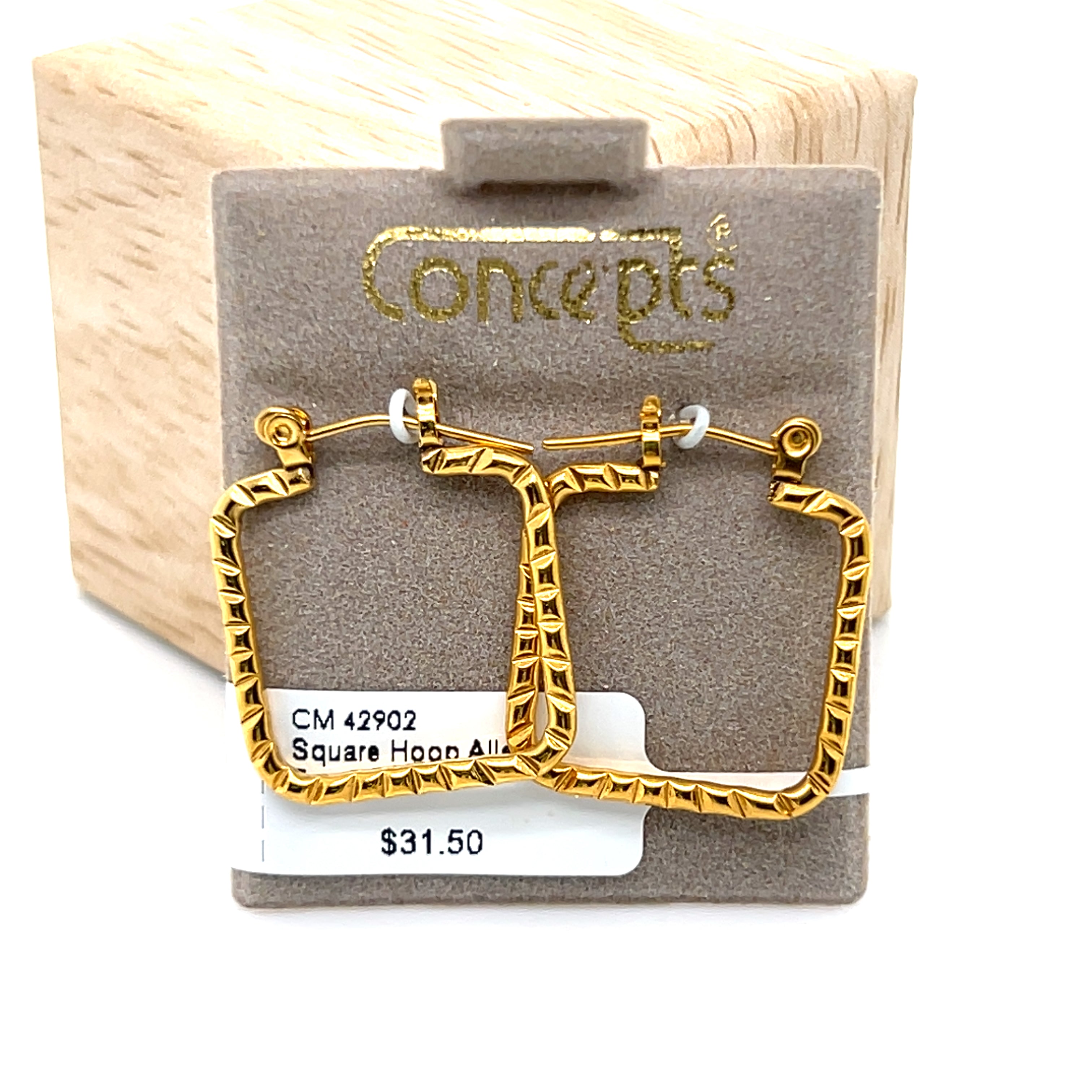 Square Hoop Allergy Free Earrings