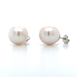 14K White Gold 10mm Pearl Earrings