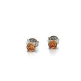 Silver 4mm Round November Birthstone Earrings