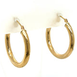 Precious Metal (No Stones) Earring