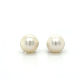 14K White Gold 6mm Pearl Earrings