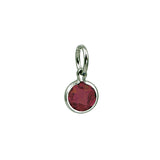 Sterling Silver January Birthstone Coin Charm Mommy Chic
