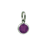 Sterling Silver February Birthstone Coin Charm Mommy Chic Collection