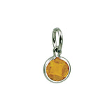 Silver November Birthstone Coin Charm Mommy Chic Collection