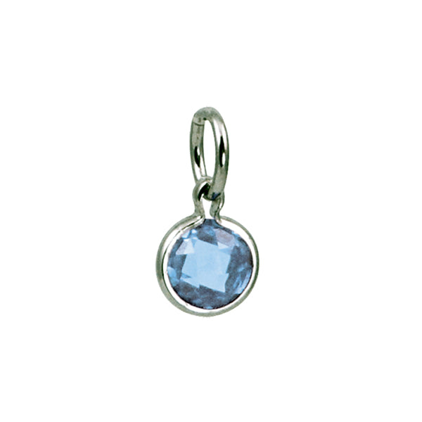 Silver December Birthstone Coin Charm Mommy Chic Collection