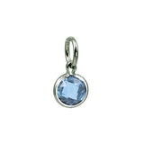 Silver December Birthstone Coin Charm Mommy Chic Collection