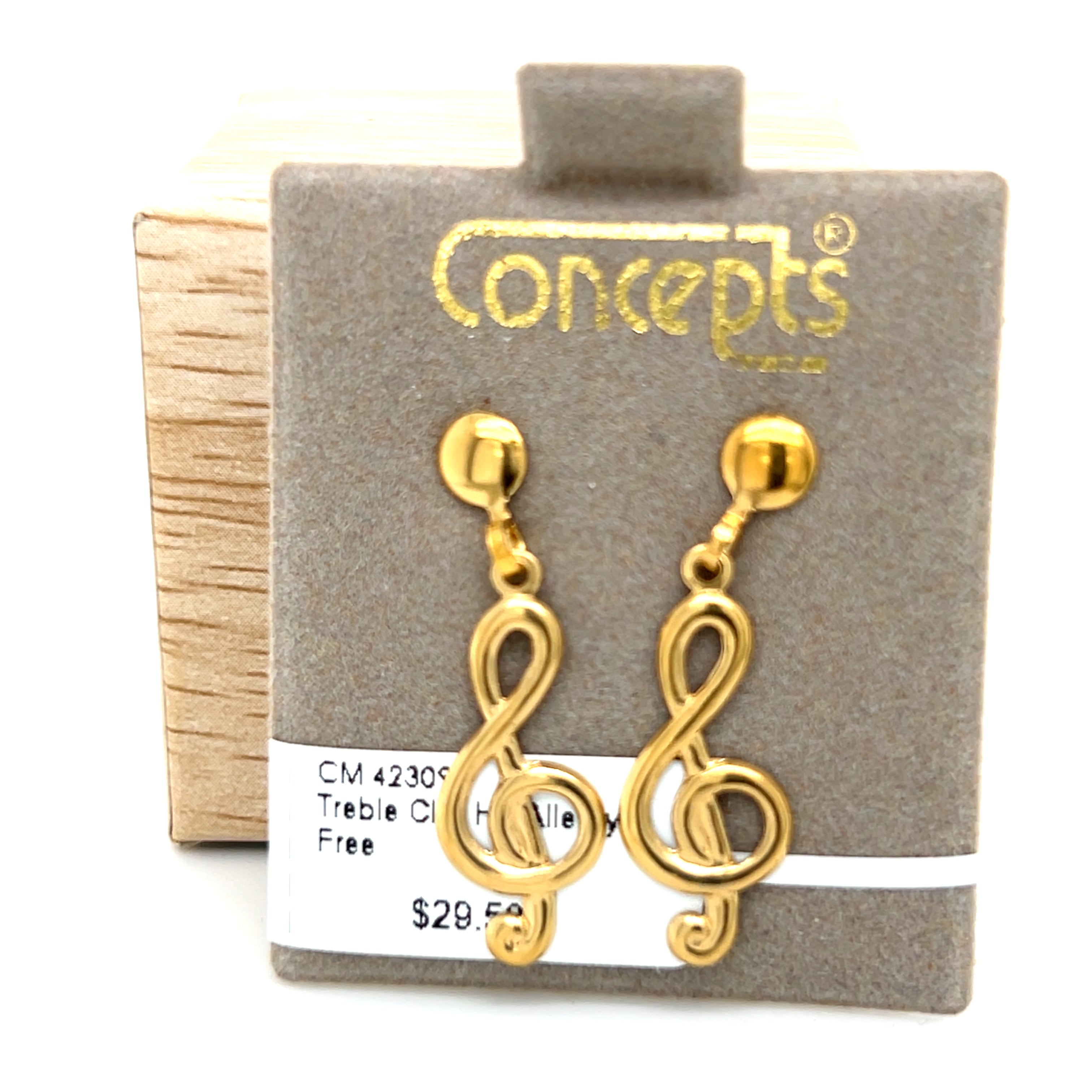 Treble Clef Allergy Free Earrings