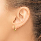 Precious Metal (No Stones) Earring