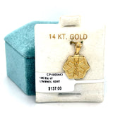 Precious Metal (No Stones) Pendants / Charm