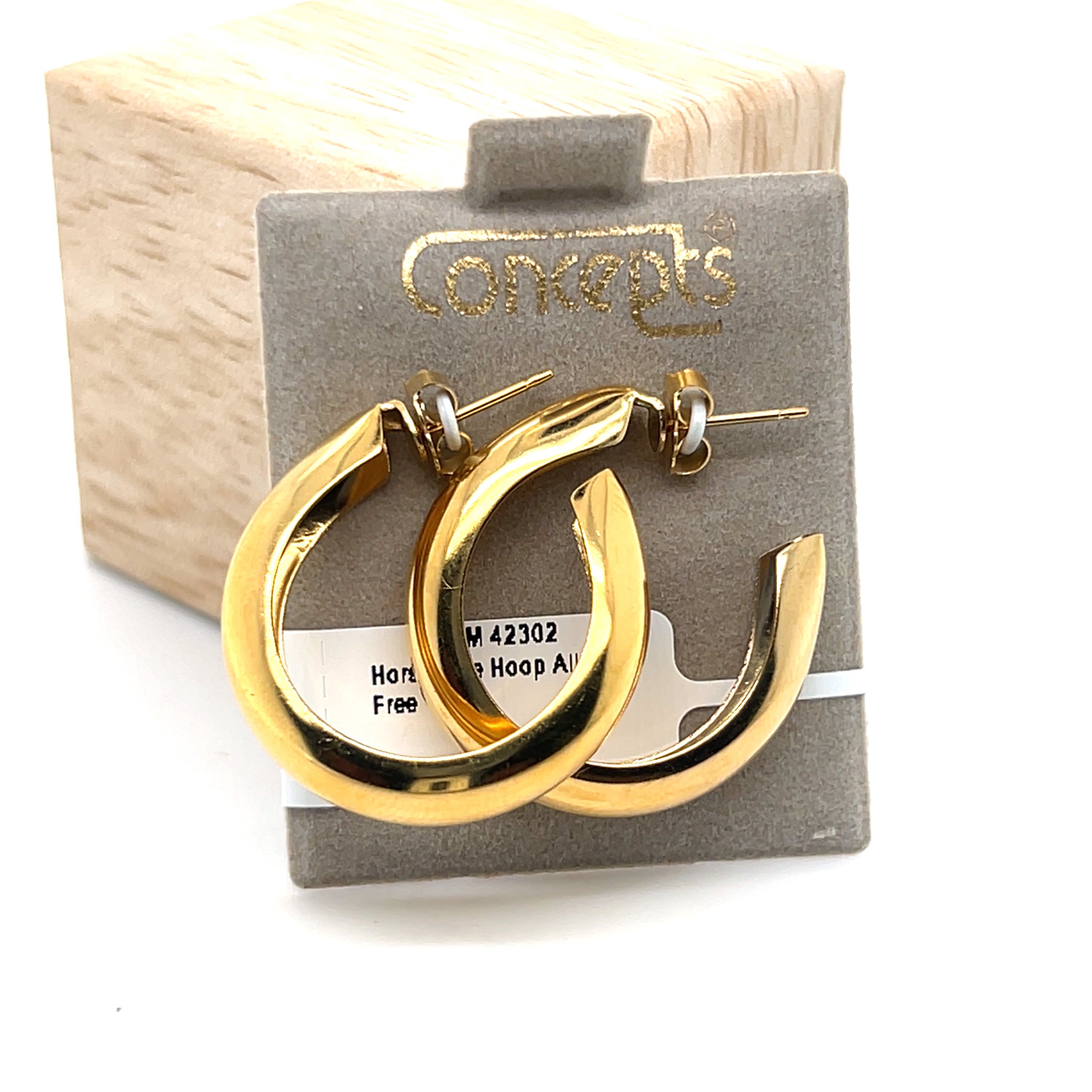 Horseshoe Hoop Allergy Free Earrings