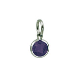 Silver June Birthstone Coin Charm Mommy Chic Collection